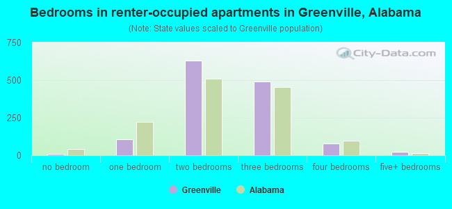 Bedrooms in renter-occupied apartments in Greenville, Alabama