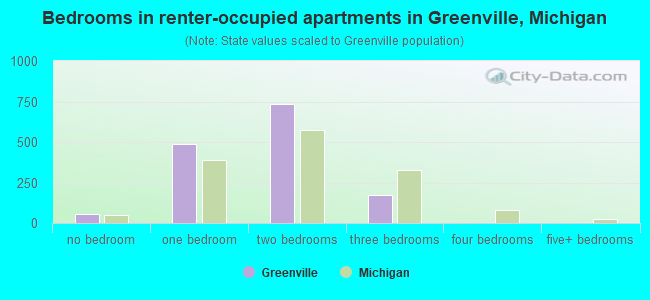 Bedrooms in renter-occupied apartments in Greenville, Michigan