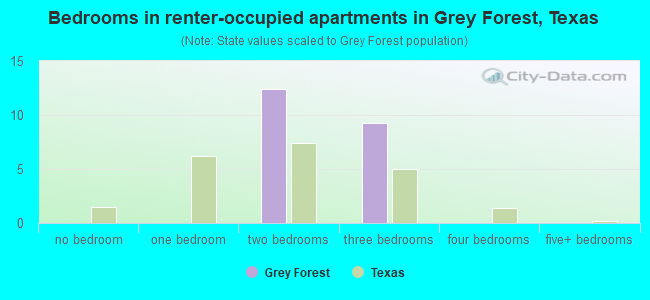 Bedrooms in renter-occupied apartments in Grey Forest, Texas