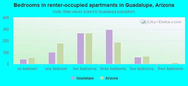 Bedrooms in renter-occupied apartments in Guadalupe, Arizona
