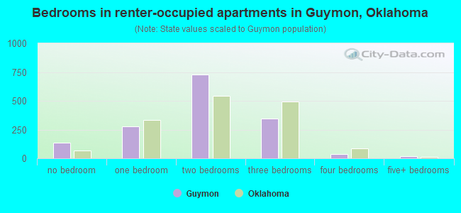 Bedrooms in renter-occupied apartments in Guymon, Oklahoma