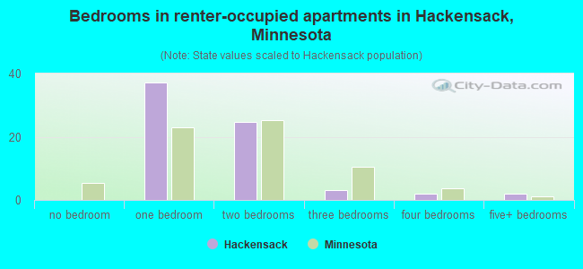 Bedrooms in renter-occupied apartments in Hackensack, Minnesota