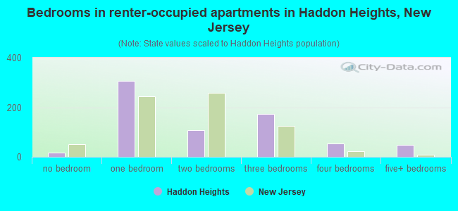 Bedrooms in renter-occupied apartments in Haddon Heights, New Jersey
