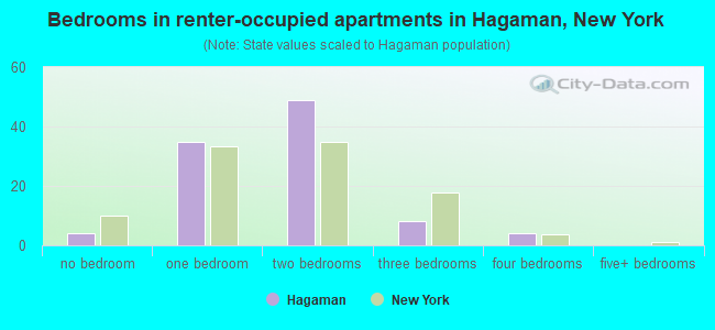 Bedrooms in renter-occupied apartments in Hagaman, New York