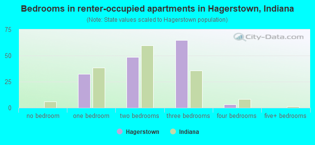 Bedrooms in renter-occupied apartments in Hagerstown, Indiana