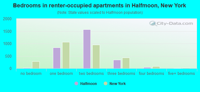 Bedrooms in renter-occupied apartments in Halfmoon, New York