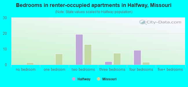 Bedrooms in renter-occupied apartments in Halfway, Missouri