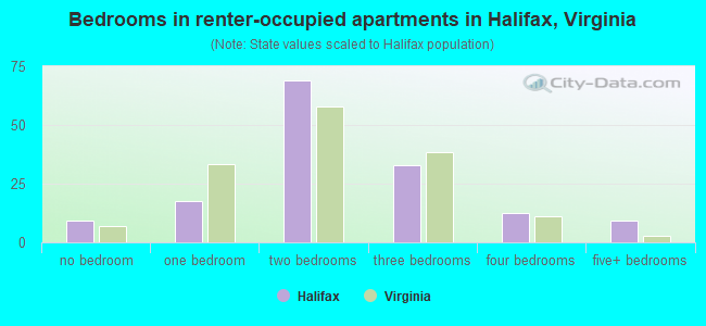 Bedrooms in renter-occupied apartments in Halifax, Virginia