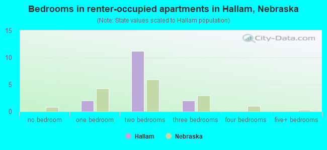 Bedrooms in renter-occupied apartments in Hallam, Nebraska
