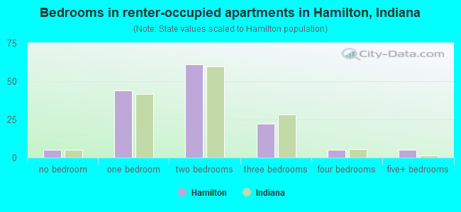 Bedrooms in renter-occupied apartments in Hamilton, Indiana
