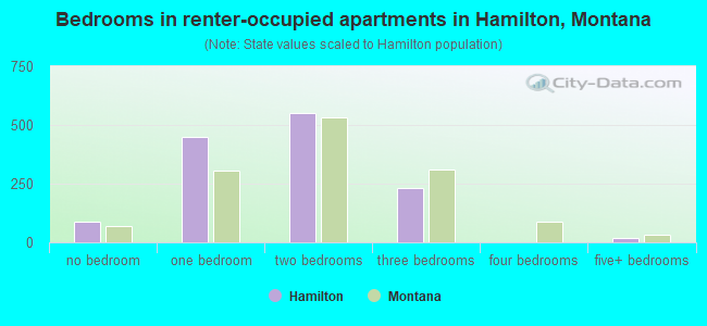 Bedrooms in renter-occupied apartments in Hamilton, Montana