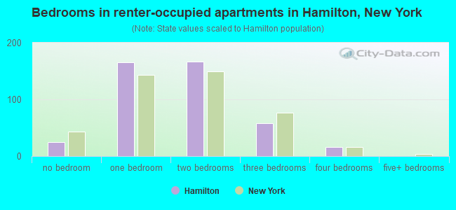 Bedrooms in renter-occupied apartments in Hamilton, New York