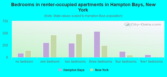 Bedrooms in renter-occupied apartments in Hampton Bays, New York