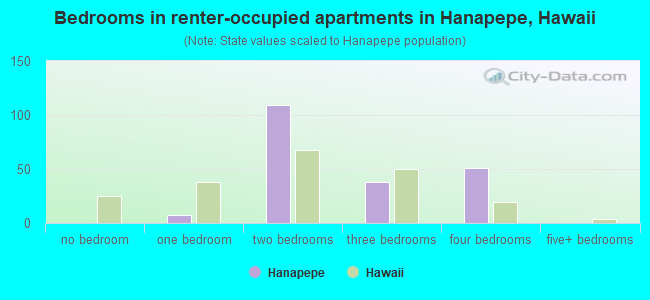 Bedrooms in renter-occupied apartments in Hanapepe, Hawaii