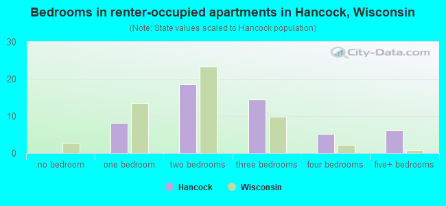 Bedrooms in renter-occupied apartments in Hancock, Wisconsin