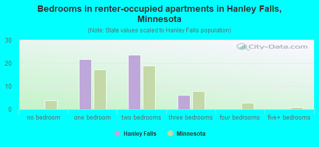 Bedrooms in renter-occupied apartments in Hanley Falls, Minnesota
