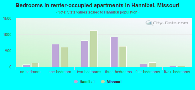 Bedrooms in renter-occupied apartments in Hannibal, Missouri
