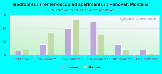 Bedrooms in renter-occupied apartments in Hanover, Montana