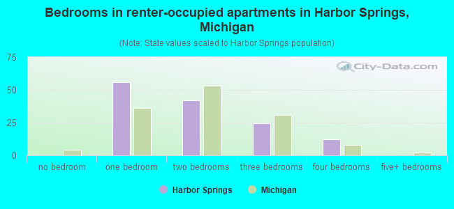 Bedrooms in renter-occupied apartments in Harbor Springs, Michigan