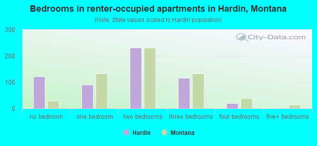 Bedrooms in renter-occupied apartments in Hardin, Montana