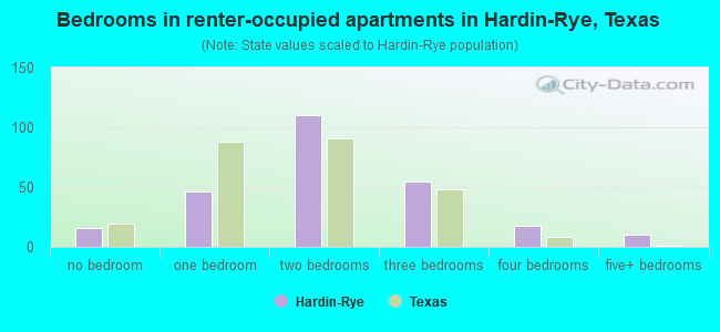 Bedrooms in renter-occupied apartments in Hardin-Rye, Texas