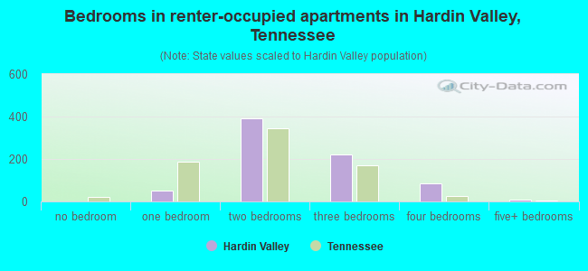 Bedrooms in renter-occupied apartments in Hardin Valley, Tennessee