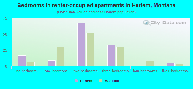 Bedrooms in renter-occupied apartments in Harlem, Montana