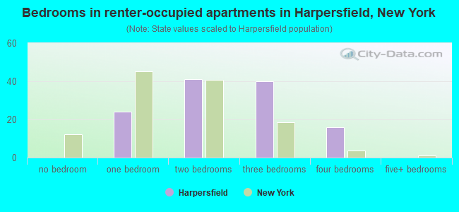 Bedrooms in renter-occupied apartments in Harpersfield, New York
