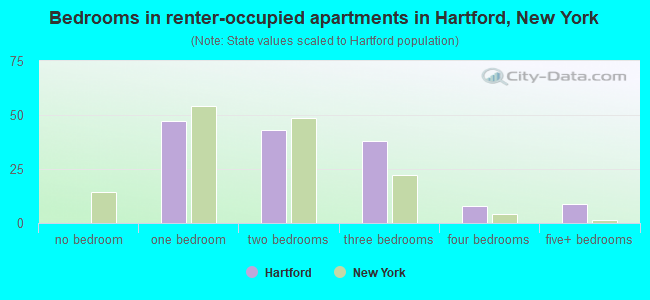 Bedrooms in renter-occupied apartments in Hartford, New York