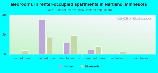 Bedrooms in renter-occupied apartments in Hartland, Minnesota