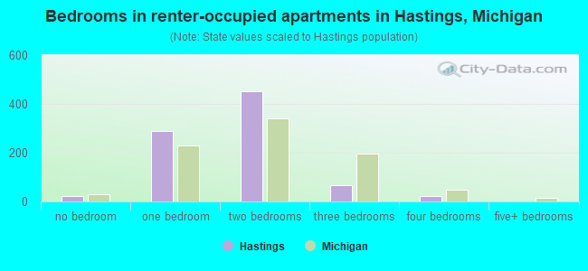 Bedrooms in renter-occupied apartments in Hastings, Michigan