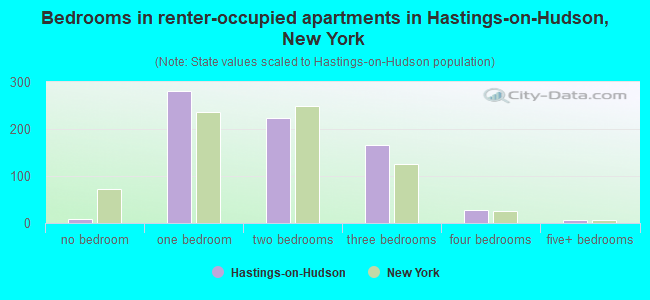 Bedrooms in renter-occupied apartments in Hastings-on-Hudson, New York