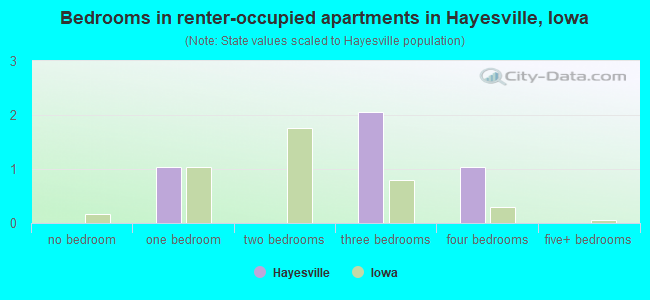 Bedrooms in renter-occupied apartments in Hayesville, Iowa