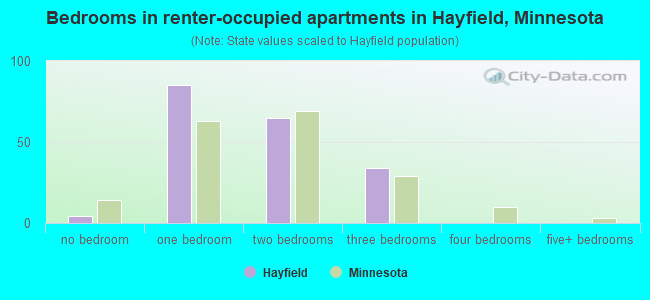 Bedrooms in renter-occupied apartments in Hayfield, Minnesota