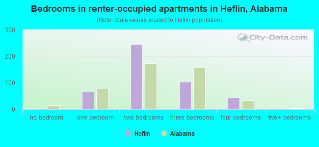 Bedrooms in renter-occupied apartments in Heflin, Alabama