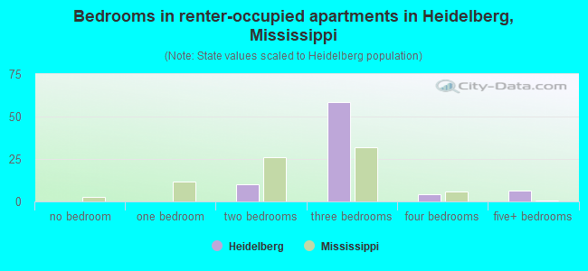 Bedrooms in renter-occupied apartments in Heidelberg, Mississippi