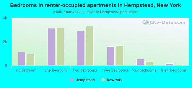 Bedrooms in renter-occupied apartments in Hempstead, New York