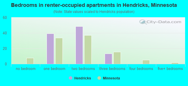 Bedrooms in renter-occupied apartments in Hendricks, Minnesota