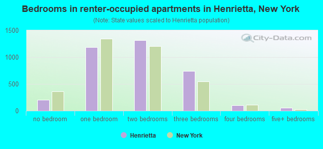 Bedrooms in renter-occupied apartments in Henrietta, New York