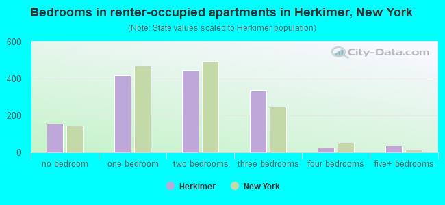 Bedrooms in renter-occupied apartments in Herkimer, New York
