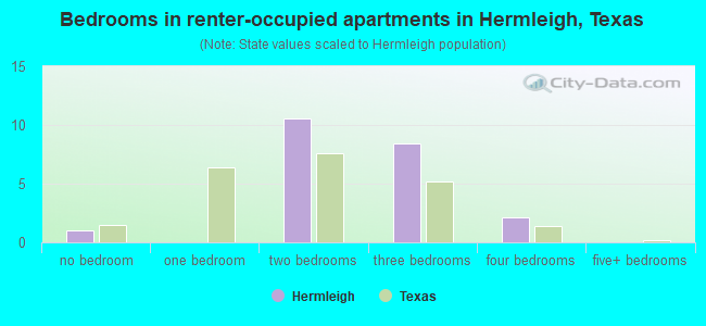 Bedrooms in renter-occupied apartments in Hermleigh, Texas