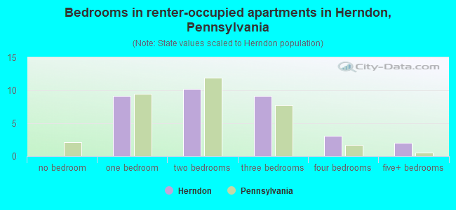 Bedrooms in renter-occupied apartments in Herndon, Pennsylvania