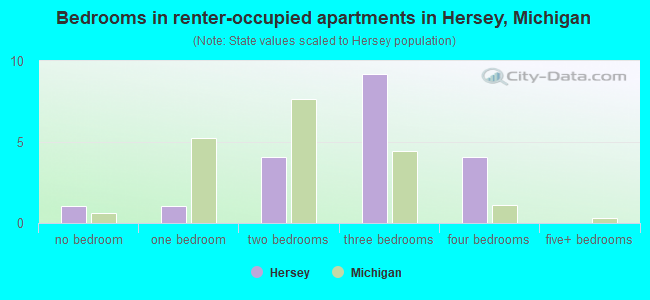 Bedrooms in renter-occupied apartments in Hersey, Michigan