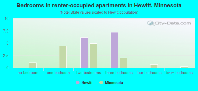 Bedrooms in renter-occupied apartments in Hewitt, Minnesota