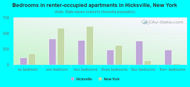 Bedrooms in renter-occupied apartments in Hicksville, New York