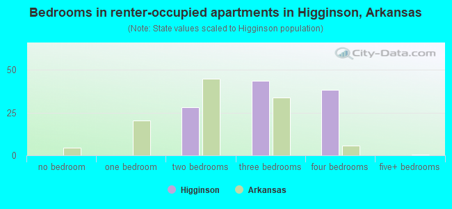 Bedrooms in renter-occupied apartments in Higginson, Arkansas