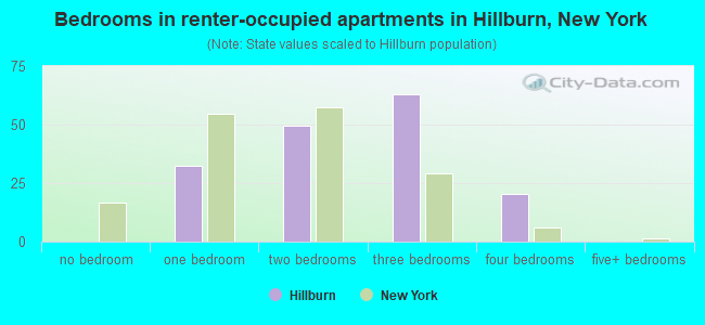 Bedrooms in renter-occupied apartments in Hillburn, New York