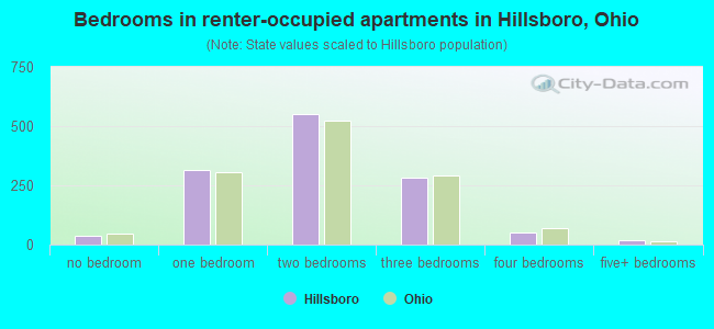 Bedrooms in renter-occupied apartments in Hillsboro, Ohio
