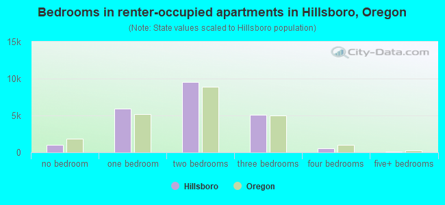 Bedrooms in renter-occupied apartments in Hillsboro, Oregon