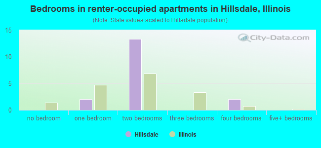 Bedrooms in renter-occupied apartments in Hillsdale, Illinois